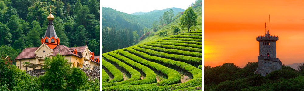 Мацестинские чайные плантации, гора Ахун
